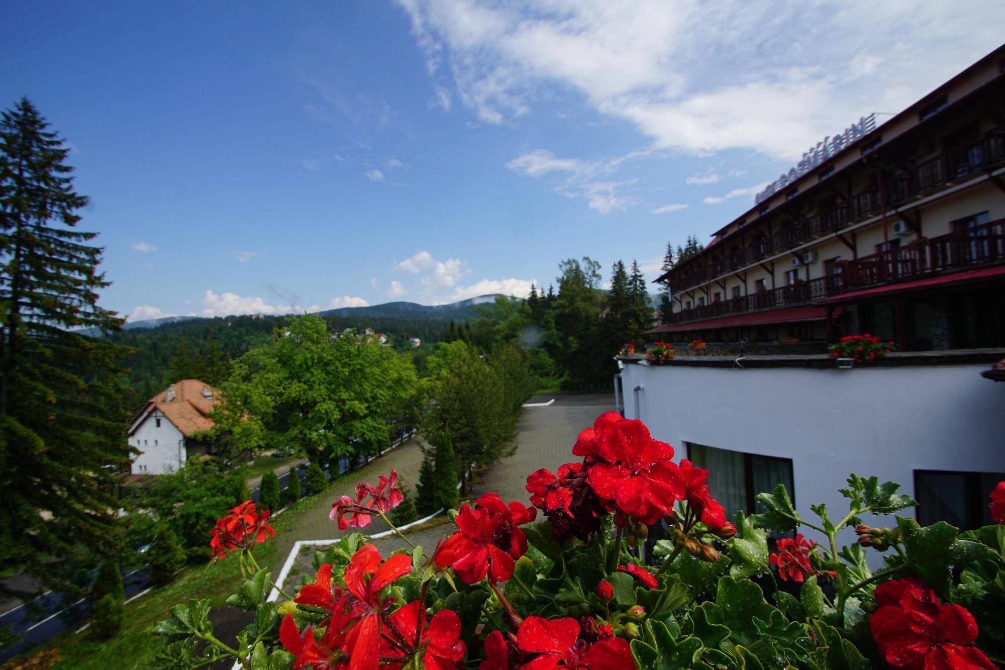 Hotel Rozmarin Predeal Zewnętrze zdjęcie