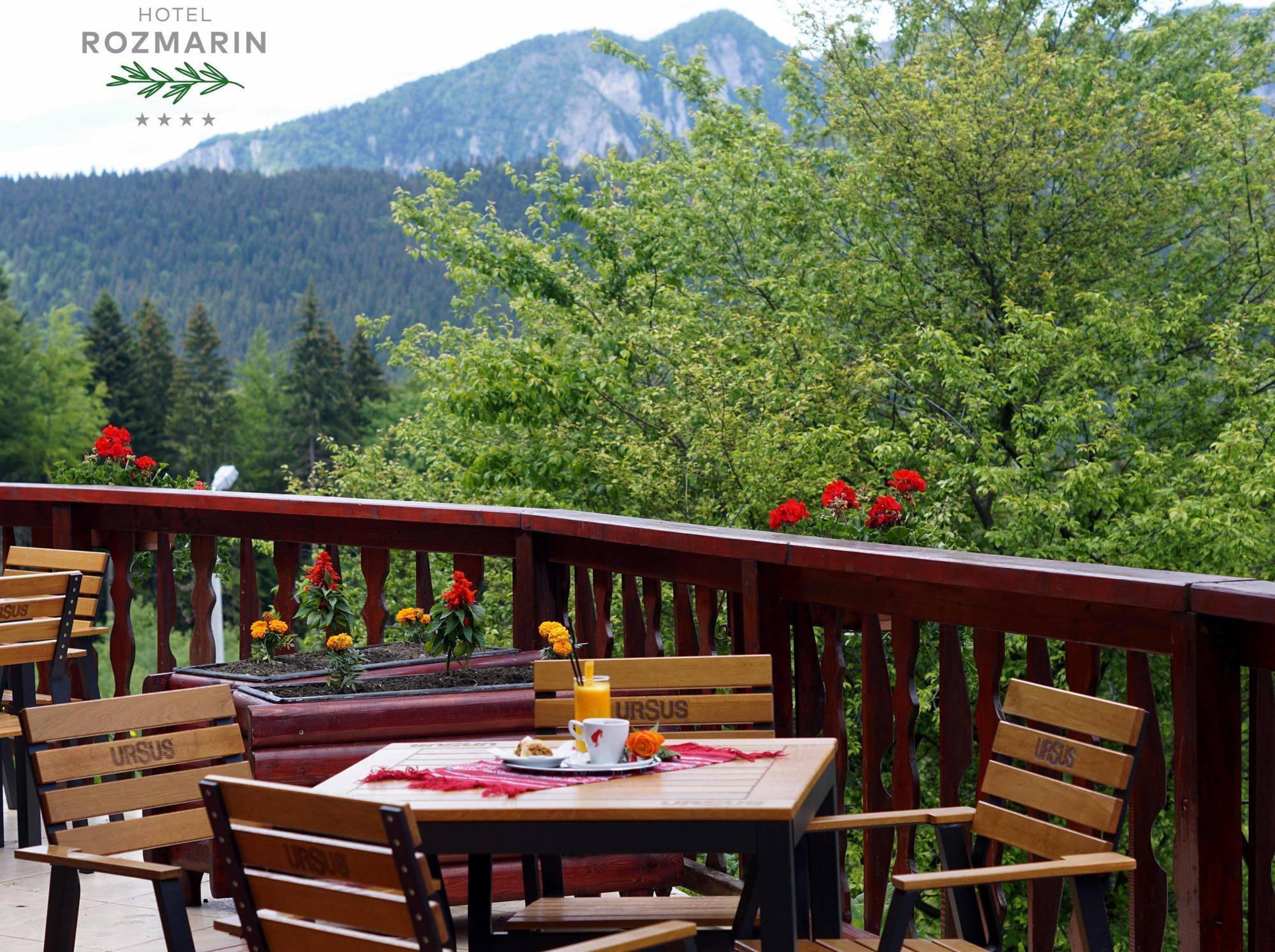Hotel Rozmarin Predeal Zewnętrze zdjęcie